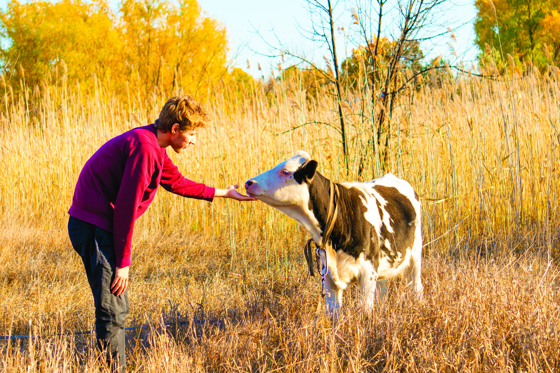 Mail Call: Letters to the Editor in our May/June 2019 Issue - Grit